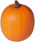 Aktuelles Halloween Kürbis Angebot bei REWE in Pforzheim ab 4,44 €