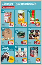 Schuhe im REWE Prospekt in Sankt Augustin Aktueller REWE Prospekt mit Schuhe, "Dein Markt", Seite 31