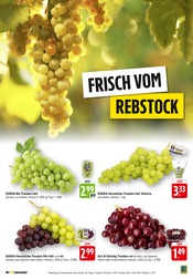 Aktueller EDEKA Prospekt mit Mixer, "Aktuelle Angebote", Seite 2