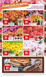 Promos Jardin dans le catalogue "LE 2ÈME PRODUIT À -60% SUR UNE SÉLECTION DE PRODUITS LAITIERS" de Netto à la page 4