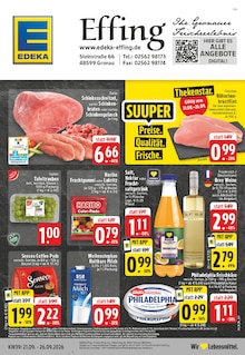 Aktueller EDEKA Prospekt (Gronau (Westfalen)) EDEKA Prospekt "Aktuelle Angebote" mit Seiten (Gronau (Westfalen))