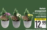 Herbst-arrangement Angebote bei EDEKA Augsburg für 12,99 €
