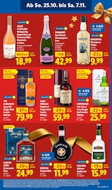 Wodka im Lidl Prospekt in Falkensee Aktueller Lidl Prospekt mit Wodka, "LIDL LOHNT SICH", Seite 67