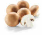 Champignon braun im Angebot bei Netto Marken-Discount in Offenbach Champignon braun Angebote bei Netto Marken-Discount Offenbach für 1,69 €