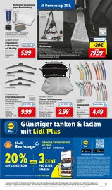 Aktueller Lidl Prospekt mit Gartenwerkzeug, "LIDL LOHNT SICH", Seite 37