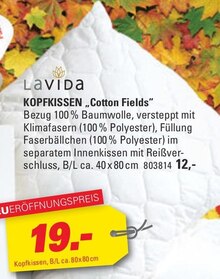 KOPFKISSEN „Cotton Fields“ bei Höffner in Hamburg KOPFKISSEN „Cotton Fields“ im Angebot bei Höffner Hamburg für 12,00 €
