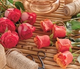 Bouquet 5 roses équateur 50 cm en promo à 7,99 € chez Intermarché Super Bouquet 5 roses équateur 50 cm dans le catalogue Intermarché Super