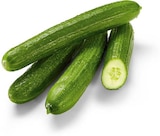 Bio Gurken im Netto Marken-Discount Prospekt Bio Gurken von BioBio im aktuellen Netto Marken-Discount Prospekt für 0,77 €