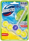 WC Stein Power 5 von Domestos im aktuellen REWE Prospekt für 1,49 €