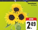 Sonnenblumen im Angebot bei E center in Fürth Sonnenblumen Angebote bei E center Fürth für 2,49 €