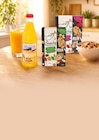 Premium Knusper Müsli für 2,99 € bei Netto Marken-Discount im Angebot Premium Knusper Müsli im aktuellen Netto Marken-Discount Prospekt