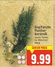 Aktuelles Bepflanzte Rentierkeramik Angebot bei E center in Berlin ab 9,99 €