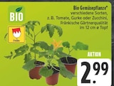 E center Lauf (Pegnitz) Prospekt mit  im Angebot für 2,99 €