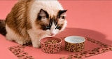 GAMELLE LEOPARD POUR CHIEN ET CHAT TRUF&CO - TRUF'&CO dans le catalogue Auchan Hypermarché