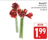 Amaryllis Angebote bei E center Jena für 1,99 €