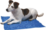 Aktuelle Teppichboden Angebote bei tegut in Stuttgart Aktuelles Kühlmatte für Hunde Angebot bei tegut in Stuttgart ab 7,99 €