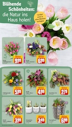 REWE Blumen im Prospekt 