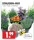 STAUDEN-MIX im Angebot bei Wreesmann in Weimar STAUDEN-MIX Angebote bei Wreesmann Weimar für 1,99 €