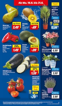 Grünpflanzen Angebot im Lidl Prospekt, gültig von 16.06.2025 bis 21.06.2025 Grünpflanzen Angebot im aktuellen Lidl Prospekt auf Seite 5