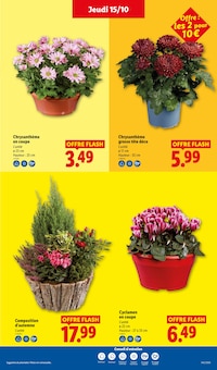 Catalogue Lidl, 15/10/2026 - 21/10/2026, LE MOIS TOUJOURS PLUS, 64 pages Prospectus Lidl en cours, "LE MOIS TOUJOURS PLUS", 64 pages