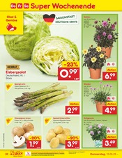 Stauden im Netto Marken-Discount Prospekt in Aurich Aktueller Netto Marken-Discount Prospekt mit Stauden, "Aktuelle Angebote", Seite 54