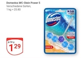 WC-Stein Power 5 im Angebot bei GLOBUS in Völklingen WC-Stein Power 5 Angebote von Domestos bei GLOBUS Völklingen für 1,29 €