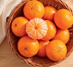 Mandarinen im Angebot bei Netto Marken-Discount in Wolfsburg Mandarinen Angebote bei Netto Marken-Discount Wolfsburg für 1,99 €