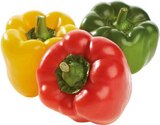 Bio Paprika Mix Angebote bei EDEKA Rheine für 1,99 €