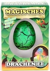 Magisches Ei im Angebot bei Thomas Philipps in Laatzen Magisches Ei Angebote bei Thomas Philipps Laatzen für 1,00 €