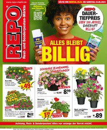 Balkonpflanzen im Repo Prospekt "Aktuelle Angebote" mit 20 Seiten (Cottbus)