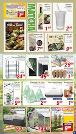 Aktueller CENTERSHOP Prospekt mit Glas, "Da geht was.", Seite 3