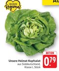 EDEKA Landau - Kopfsalat Angebot im Prospekt Kopfsalat bei EDEKA im Landau Prospekt für 0,79 €