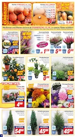 Aktueller CENTERSHOP Prospekt mit Kürbis, "Da geht was.", Seite 4