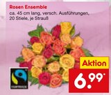 Rosen Ensemble von  im aktuellen Netto Marken-Discount Prospekt für 6,99 €