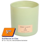 Mint Leaves & Oak bei Action im Untermeitingen Prospekt für 5,99 €