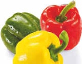 Aktuelles Paprika-Mix Angebot bei Netto Marken-Discount in Bremen ab 2,20 €