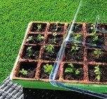 Globus-Baumarkt Wolfsburg Prospekt mit  im Angebot für 3,49 €