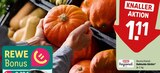 Hokkaido Kürbis im Angebot bei REWE in Hameln Hokkaido Kürbis Angebote von REWE Regional bei REWE Hameln für 1,11 €
