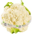 Aktuelle Gemüse Angebote bei REWE in Darmstadt Aktuelles Bio Blumenkohl Angebot bei REWE in Darmstadt ab 2,49 €