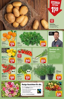 Kartoffeln im REWE Prospekt "Dein Markt" mit 32 Seiten (Chemnitz)
