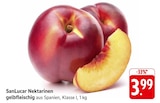 EDEKA Bruchmühlbach-Miesau - Nektarinen gelbfleischig Angebot im Prospekt Nektarinen gelbfleischig bei EDEKA im Bruchmühlbach-Miesau Prospekt für 3,99 €