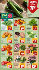 Ähnliche Weihnachtsstern Angebote im Prospekt "Dein Markt" von REWE in Laatzen Ähnliche Angebote wie Weihnachtsstern im Prospekt "Dein Markt" auf Seite 7 von REWE in Laatzen