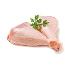 Aktuelles Ganze Putenschenkel Angebot bei Netto mit dem Scottie in Cottbus ab 5,49 €