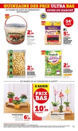 Offre Jardinage dans le catalogue Super U du moment à la page 32