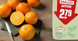 REWE Unna - Saftorangen Angebot im Prospekt Saftorangen bei REWE im Unna Prospekt für 2,79 €