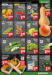 Pflanzen im EDEKA Prospekt in Osnabrück Aktueller EDEKA Prospekt mit Pflanzen, "Aktuelle Angebote", Seite 3