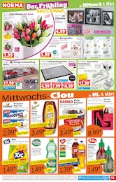 Fanta Angebot im aktuellen Norma Prospekt auf Seite 15