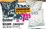 Aktuelle Kissen Angebote bei Hornbach in Kiel Aktuelles Outdoor-Kissen „Eukalyptus“ Angebot bei Hornbach in Kiel ab 7,95 €