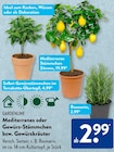 Mediterranes Stämmchen Zitrone von Gardenline im aktuellen ALDI SÜD Prospekt für 2,99 €