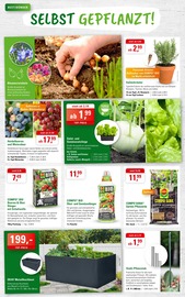 Aktueller ZG Raiffeisen Prospekt mit Bio, "GARTENFREUDE….ES GEHT ENDLICH LOS!", Seite 4